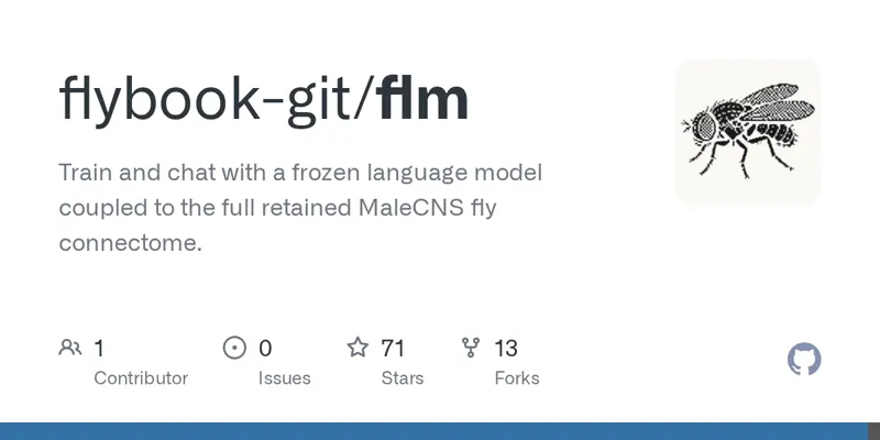 FLM introduced a local model